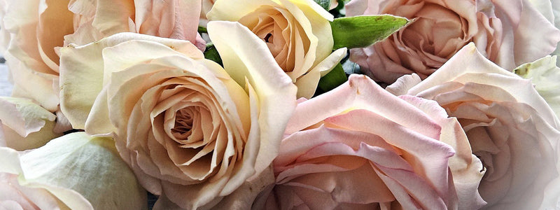 Wedding Fashion bridal knit wear