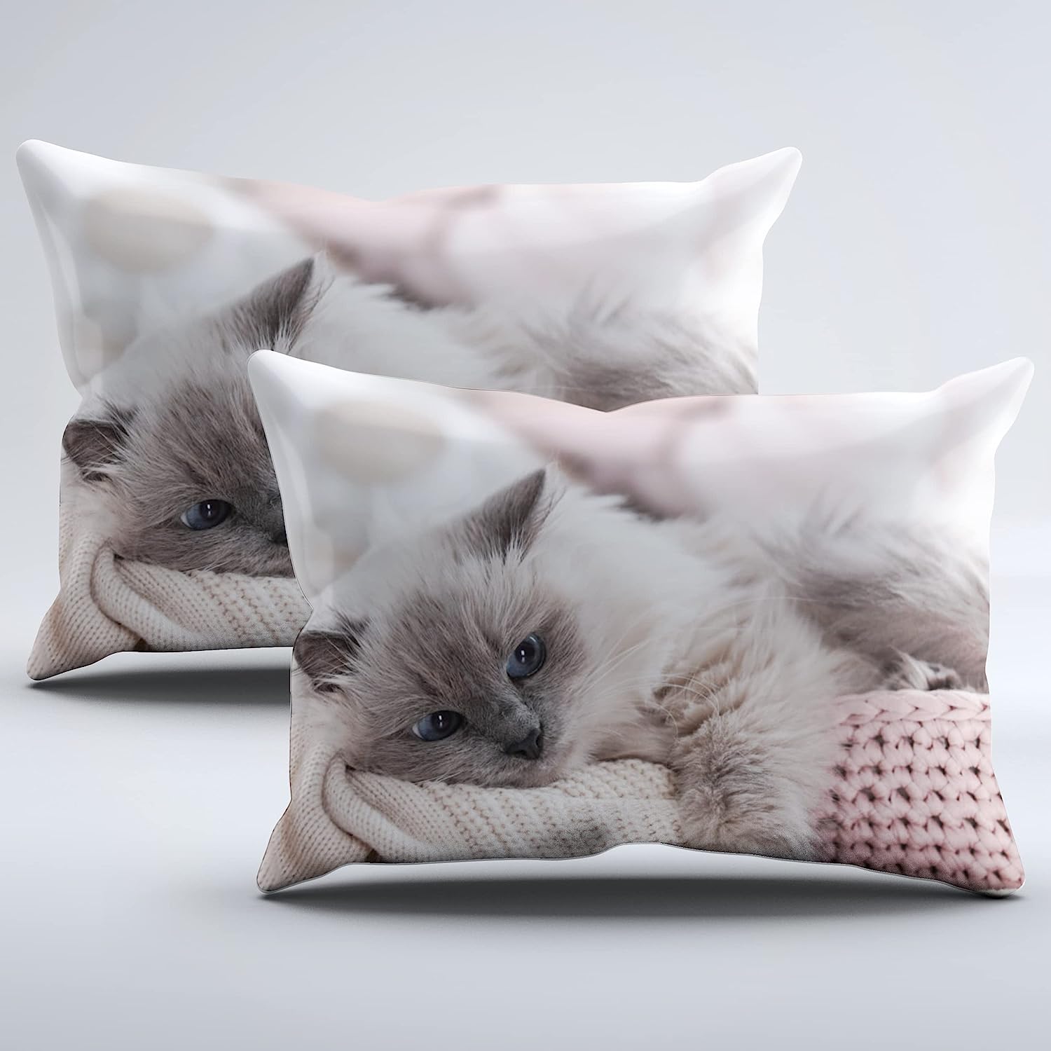 2 Kissen bedruckt mit Katze