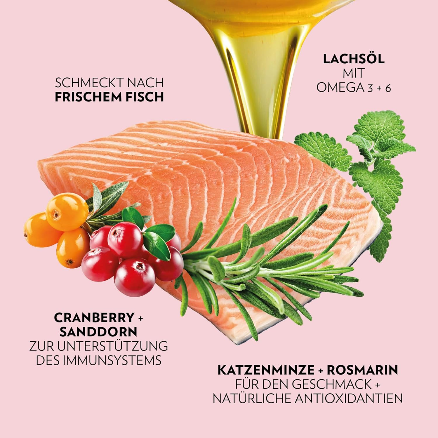 Katzenb trockenfutter