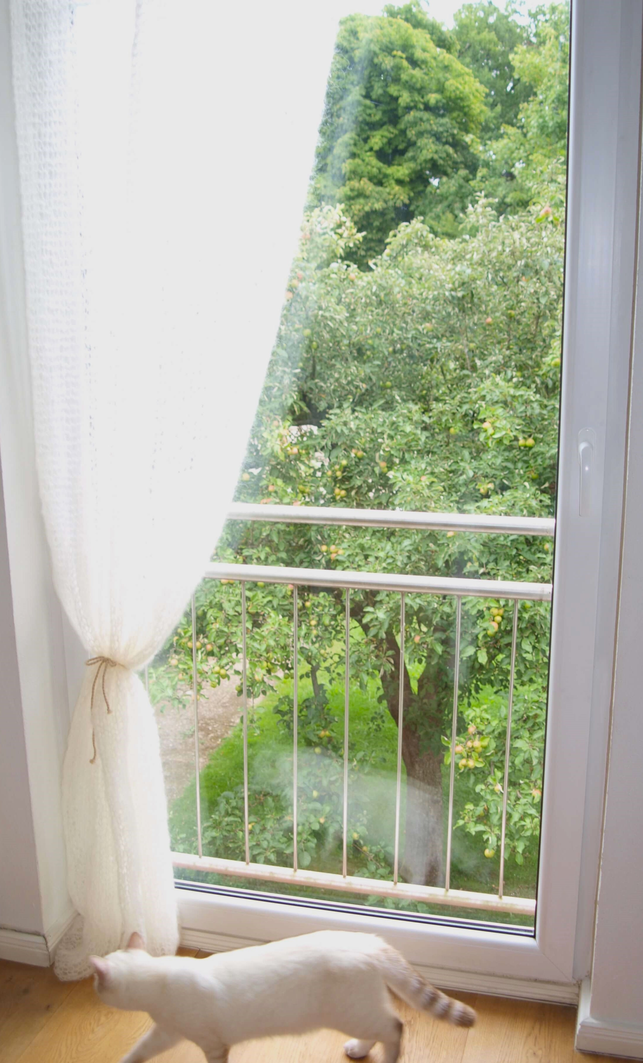 knit curtain mohair