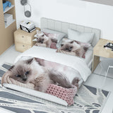 Bettbezug mit 2 Kissen bedruckt mit schlafendem Katze