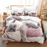 Bettbezug mit 2 Kissen bedruckt mit Kätzchen grau weiß