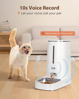 Futterautomat für Katze und Hund mit Sensor