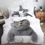 Katzen in deinem Schlafzimmer