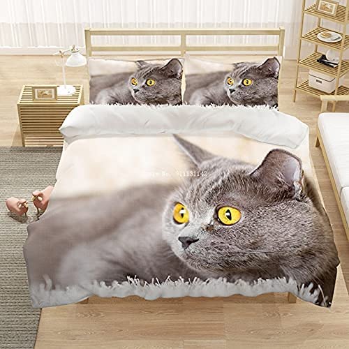Sweet BKH cat in gray with golden eyes bed duvet