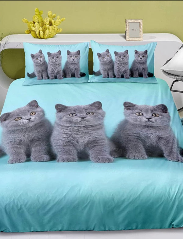 Süße Kitten Kätzchen auf Bettwäsche