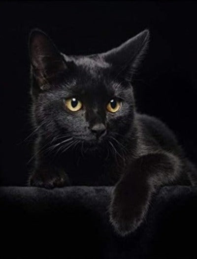 Kuscheldecke mit schwarzem Kätzchen