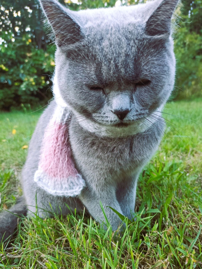 Beemohr Katzen Schal gestrickt